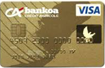 Visa oro Bankoa, tarjetas de crédito visa oro, tarjeta visa, tarjeta bankoa